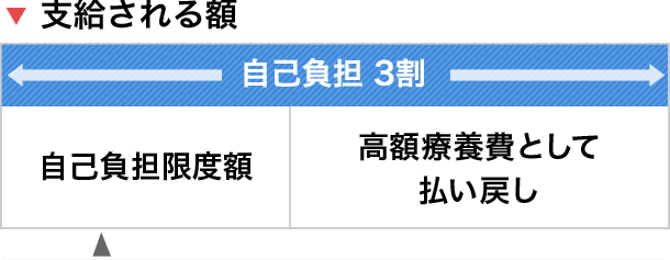 制度 計算 高額 医療 費 価格.com