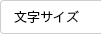 文字サイズ